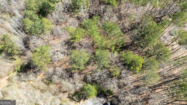 0 Bent Tree Ct Lot A-20, Newnan, GA 30263