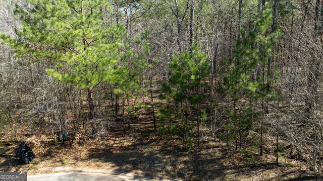 0 Bent Tree Ct Lot A-20, Newnan, GA 30263