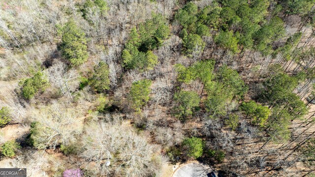 0 Bent Tree Ct Lot A-20, Newnan, GA 30263