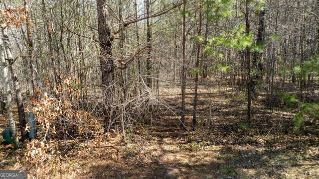0 Bent Tree Ct Lot A-20, Newnan, GA 30263