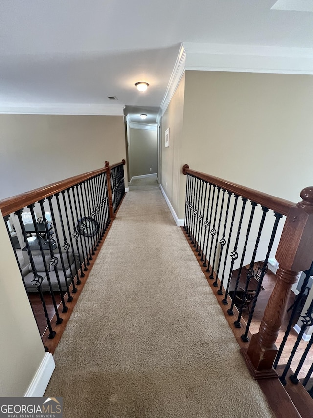 2973 Red Fox Dr, Haddock, GA 31033 - corridor featuring crown molding, baseboards, and carpet floors