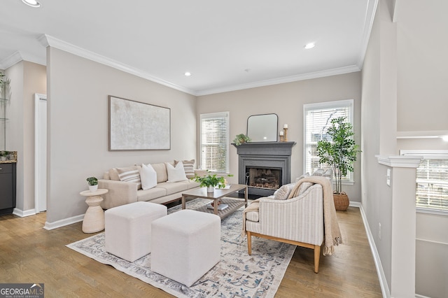 living room featuring wood finished floors, a fireplace, and crown molding