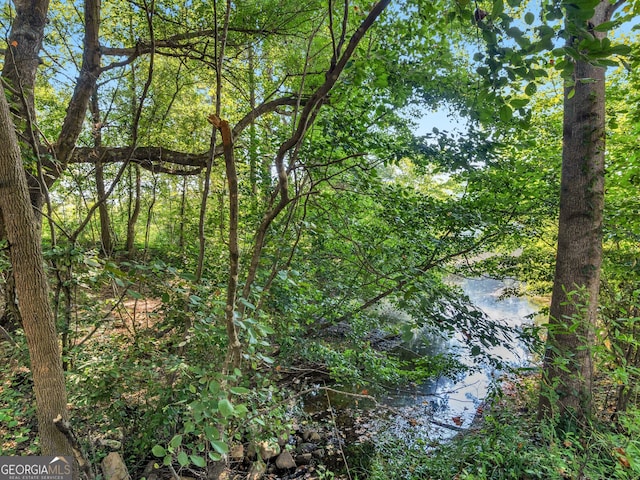 152 Vinings Lake Ct SW, Mableton, GA 30126 - view of local wilderness with a wooded view