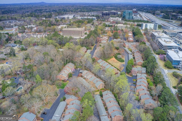 bird's eye view
