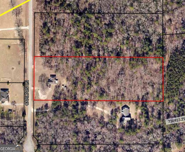 5555 Carlton Ln, Garfield, GA 30425 - aerial view of property's location featuring property parcel outlined