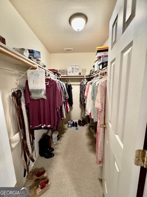 5555 Carlton Ln, Garfield, GA 30425 - walk in closet with carpet