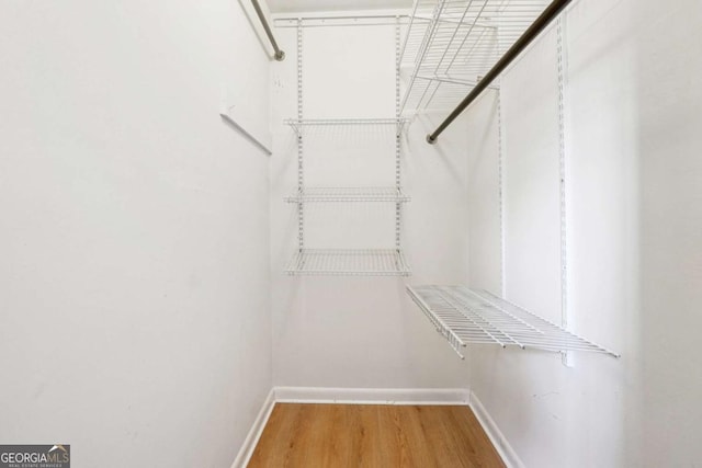 walk in closet with light wood-style flooring