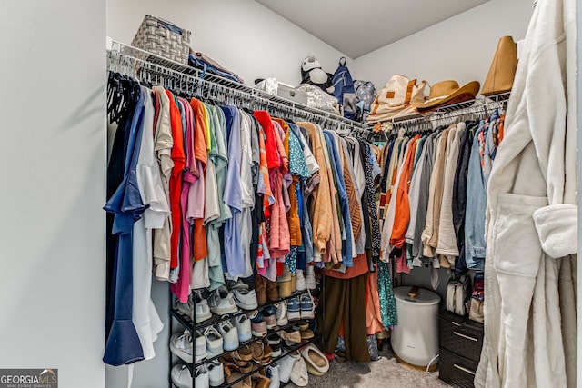 spacious closet with carpet floors