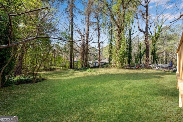 2072 Baker Rd NW, Atlanta, GA 30318 - view of yard