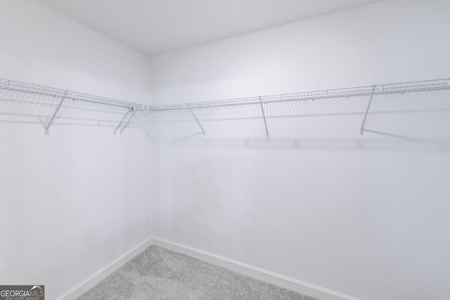 3739 Silvery Way, Powder Springs, GA 30127 - walk in closet featuring carpet flooring