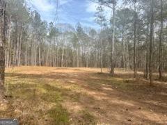 LOT24 Hamlin Rd, Jackson, GA 30233