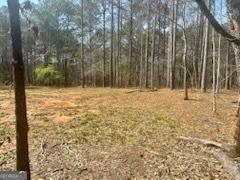 LOT24 Hamlin Rd, Jackson, GA 30233