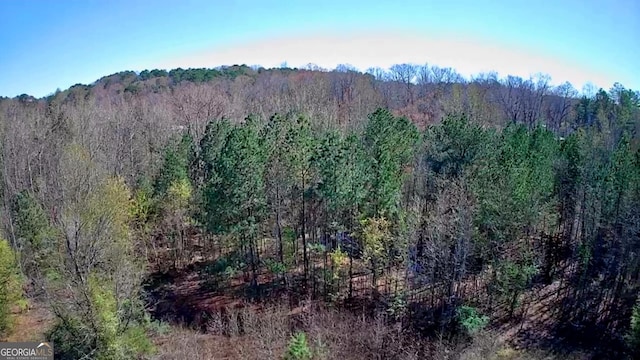 778 Mission Ridge Rd, Rossville, GA 30741 - mountain view with a view of trees