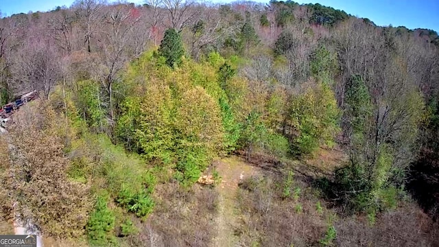 778 Mission Ridge Rd, Rossville, GA 30741 - birds eye view of property with a forest view