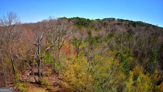 778 Mission Ridge Rd, Rossville, GA 30741 - view of local wilderness with a forest view