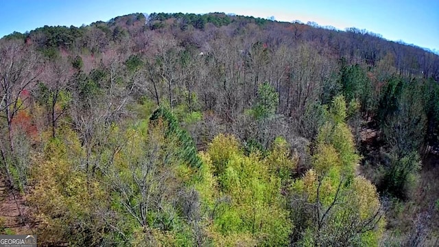 778 Mission Ridge Rd, Rossville, GA 30741 - aerial view featuring a forest view