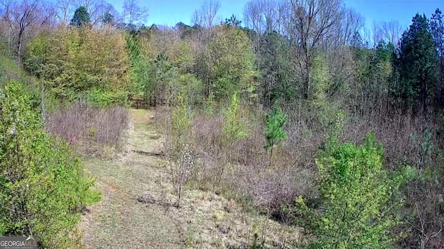 778 Mission Ridge Rd, Rossville, GA 30741 - view of local wilderness with a forest view