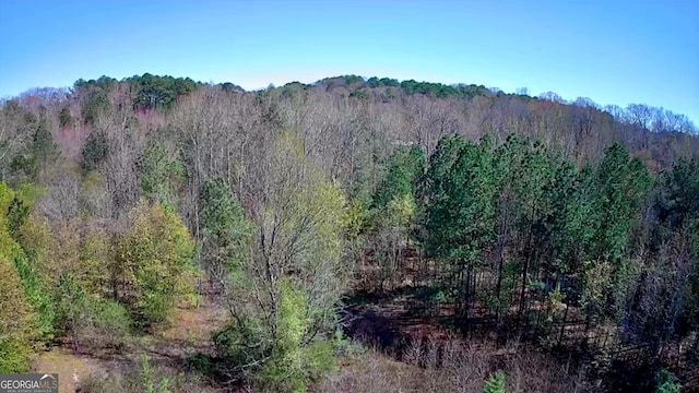 778 Mission Ridge Rd, Rossville, GA 30741 - view of mountain feature with a wooded view