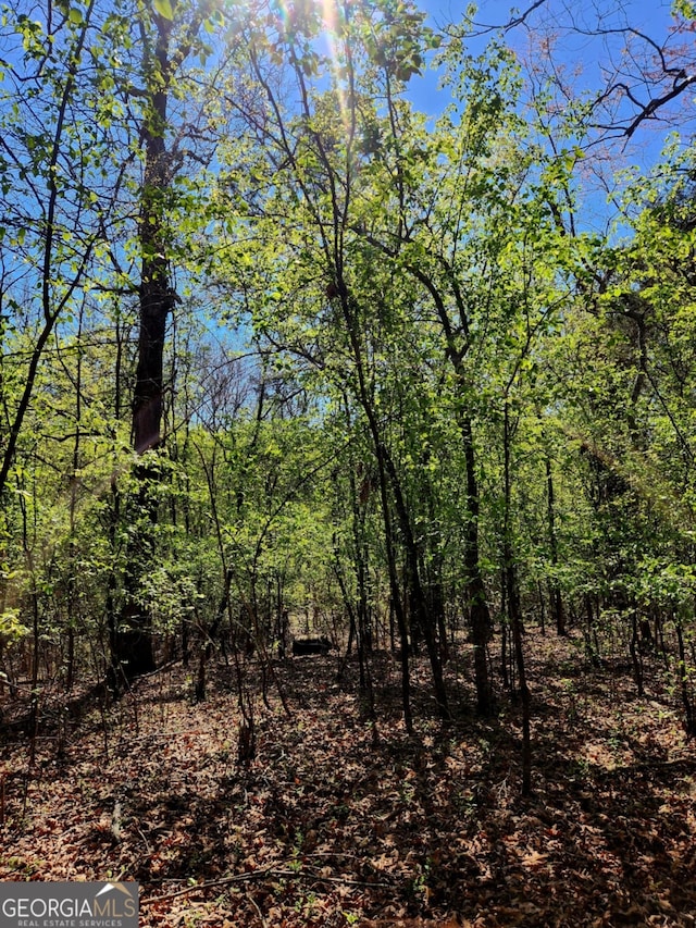 778 Mission Ridge Rd, Rossville, GA 30741 - view of landscape featuring a wooded view