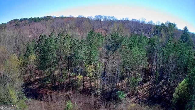 778 Mission Ridge Rd, Rossville, GA 30741 - mountain view with a forest view