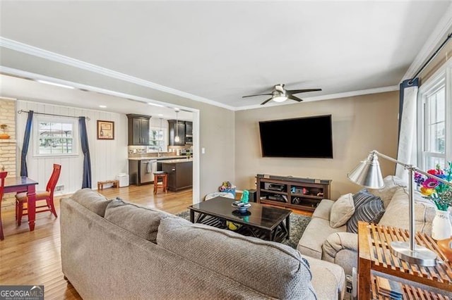 living room featuring ceiling fan, light wood-type flooring, and ornamental molding