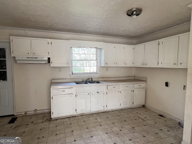 143 Oak St, Cochran, GA 31014 - kitchen with light countertops, a sink, white cabinetry, light floors, and under cabinet range hood