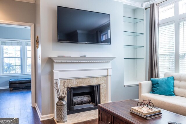 living room featuring wood finished floors, baseboards, and a premium fireplace