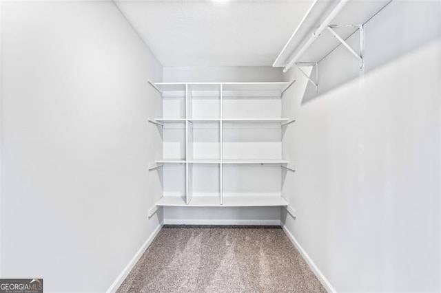 spacious closet with carpet floors