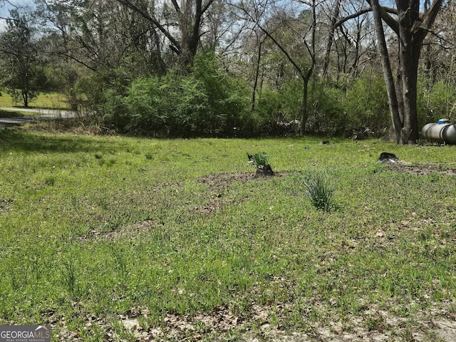 157 Knight St, Irwinton, GA 31042 - view of yard