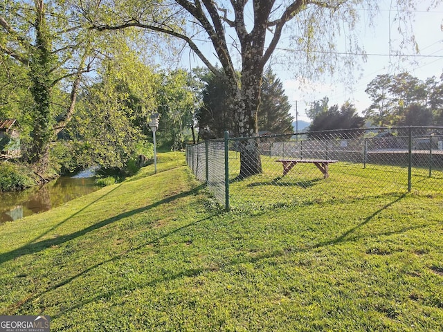 656 River Vista Dr, Dillard, GA 30537 - view of yard