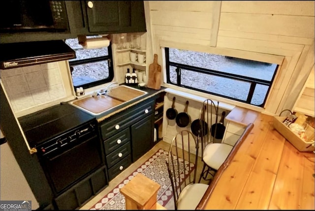 kitchen featuring a sink, range, and dark cabinetry