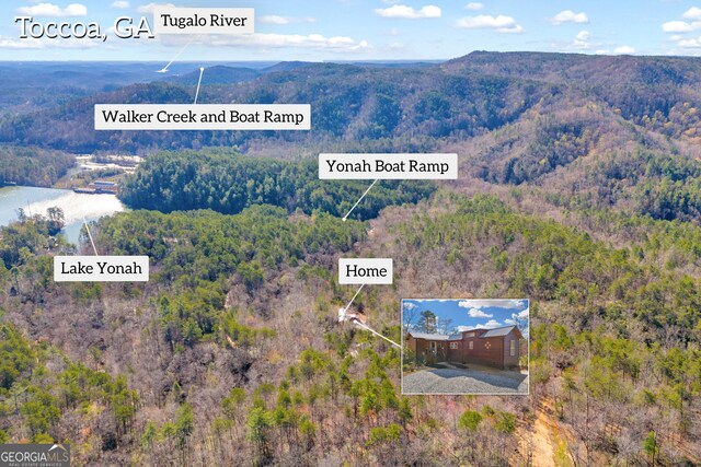 181 Yonah Lake Cir, Toccoa, GA 30577 - drone / aerial view of a forest and a mountain backdrop