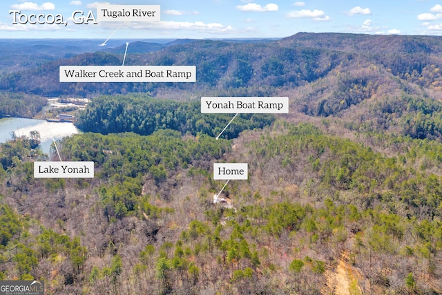 181 Yonah Lake Cir, Toccoa, GA 30577 - map of property location