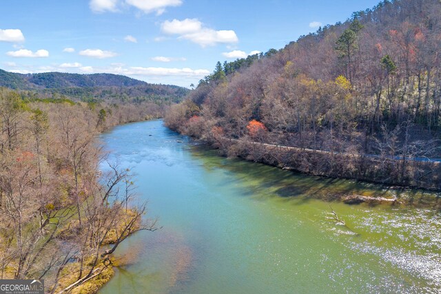 181 Yonah Lake Cir, Toccoa, GA 30577 - water view with a heavily wooded area and a mountain backdrop