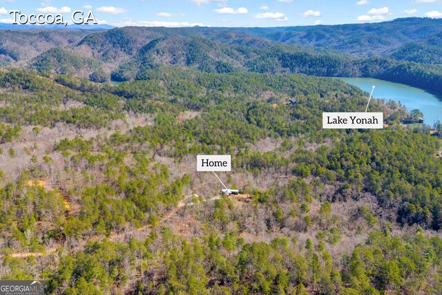 181 Yonah Lake Cir, Toccoa, GA 30577 - bird's eye view of a water and mountain view and a forest