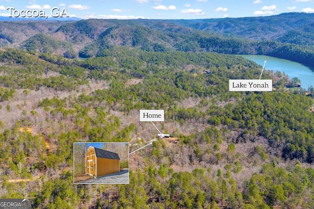 181 Yonah Lake Cir, Toccoa, GA 30577 - aerial view of a water and mountain view and a forest