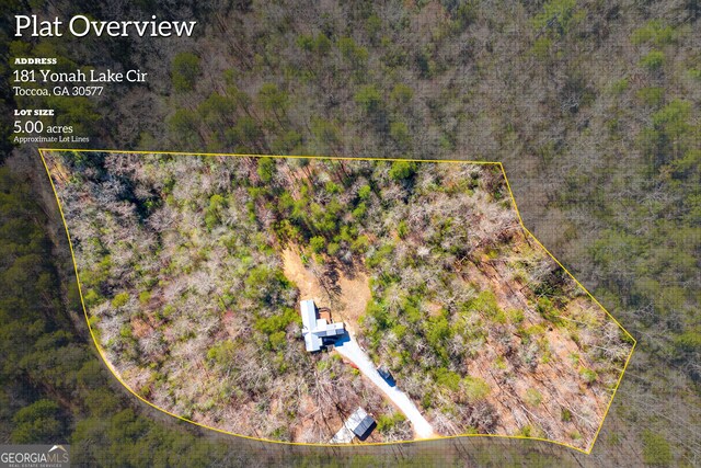 181 Yonah Lake Cir, Toccoa, GA 30577 - aerial overview of property's location with property parcel outlined