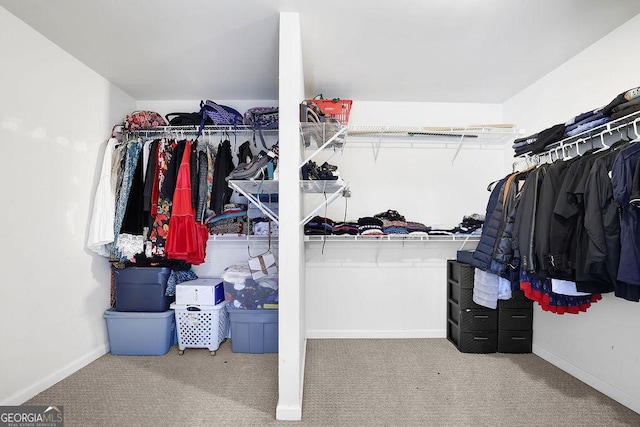 1621 Telfair Chase Way, Lawrenceville, GA 30043 - walk in closet featuring carpet flooring