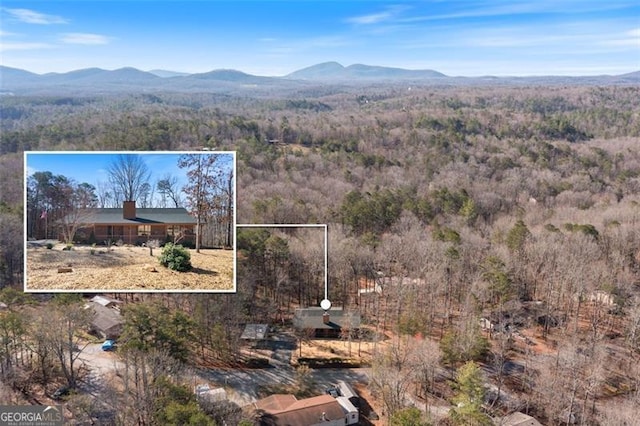 exterior space with a mountain view and a view of trees