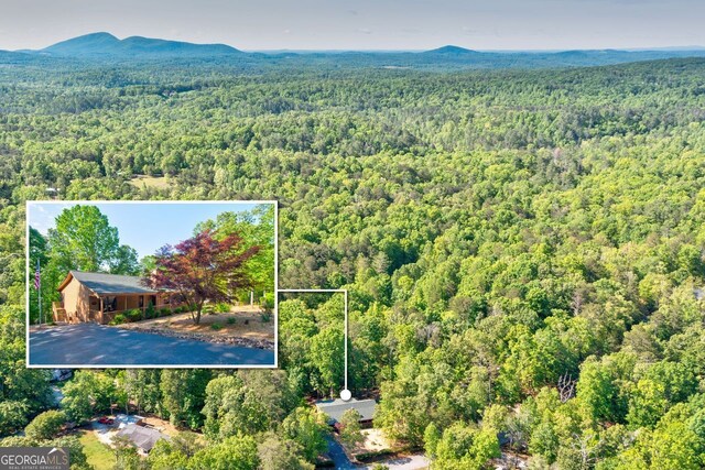 bird's eye view featuring a mountain view and a view of trees