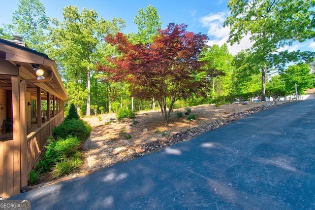 view of yard