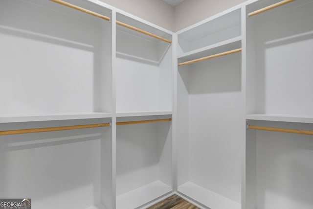 243 Barrington Oaks Dr, Brunswick, GA 31523 - view of spacious closet