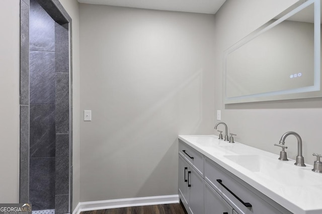 bathroom with double vanity, wood finished floors, baseboards, and a sink