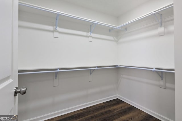 spacious closet featuring dark wood-type flooring