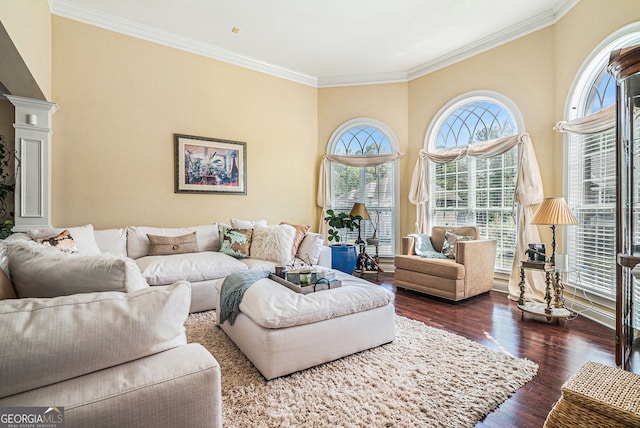 living area featuring crown molding, dark wood-style flooring, and decorative columns