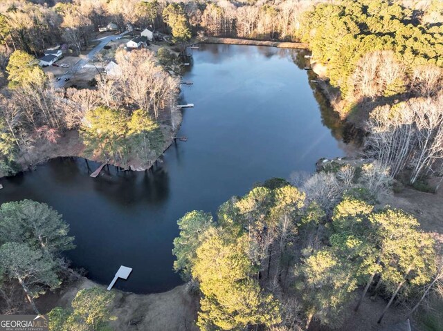 birds eye view of property featuring a water view and a forest view