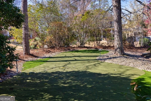 3491 Falls Branch Ct, Buford, GA 30519 - view of community with a putting area