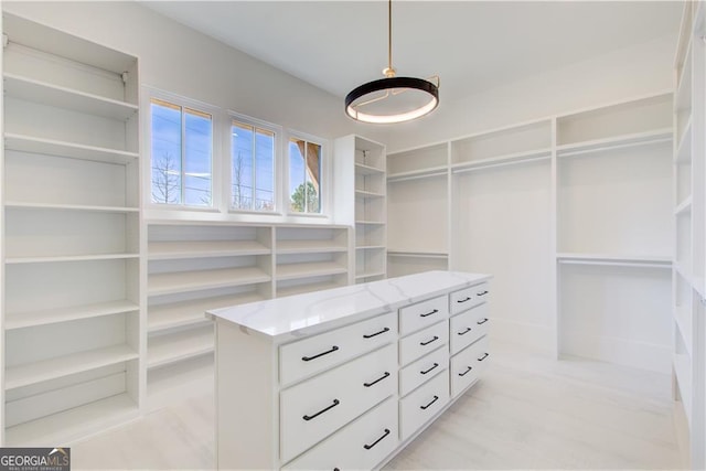 view of spacious closet