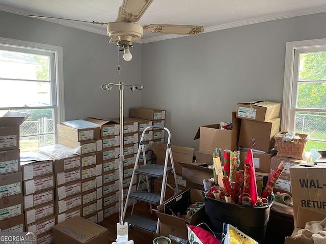 storage with ceiling fan