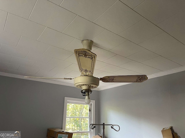 room details with a ceiling fan and ornamental molding